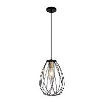 Подвесной светильник Escada 10180/1S E27*60W Black/Brass