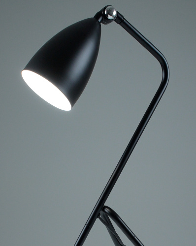 Лампа настольная Moderli V10998-T Show фото 6