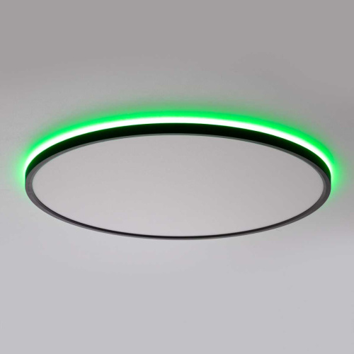 Потолочный светильник Citilux NORMA CL749501 фото 6 Потолочный светильник Citilux NORMA CL749501 фото 6