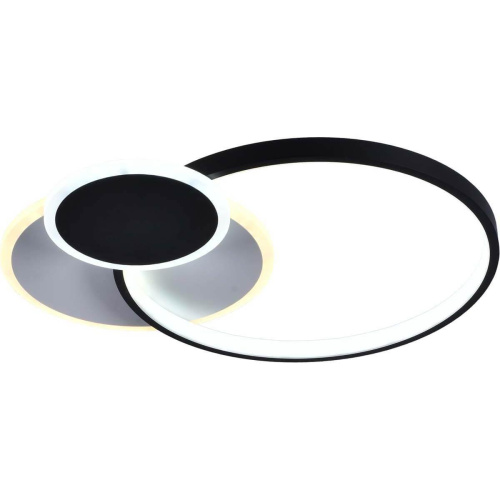 Потолочный светильник Rivoli Julia 6080-108 Б0052414 фото 2