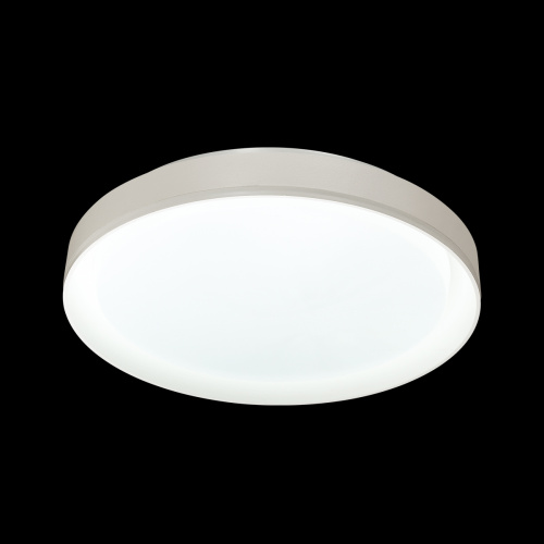 3030/DL TAN SN 000 Светильник пластик/белый LED 48Вт 3000-6300K D410 IP43 пульт ДУ/ LampSmart BIONIC фото 5