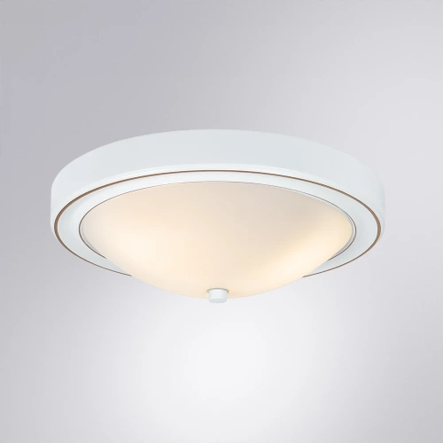 Потолочный светильник Arte Lamp JAMES A4049PL-3WH фото 2