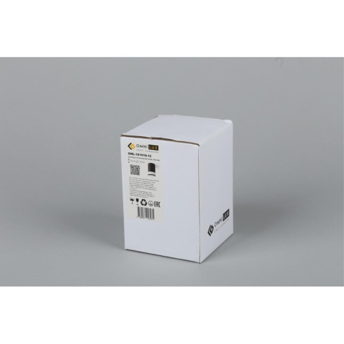 Светильник встраиваемый-накладной OML-101519-12 фото 3 Светильник встраиваемый-накладной OML-101519-12 фото 3