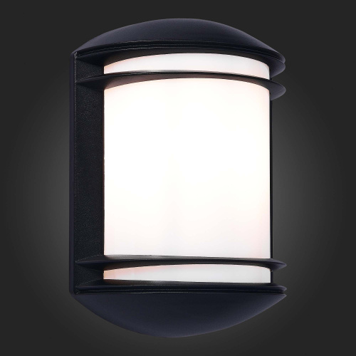 SL076.401.01 Светильник уличный настенный ST-Luce Черный/Белый E27 1*60W AGIO фото 3