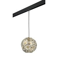 Комплект с трековым светильником Lightstar Fermo (724212+595007) PRO724212