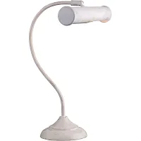 Офисная настольная лампа Arte Lamp PICTURE LIGHTS BASIC A5023LT-1WG