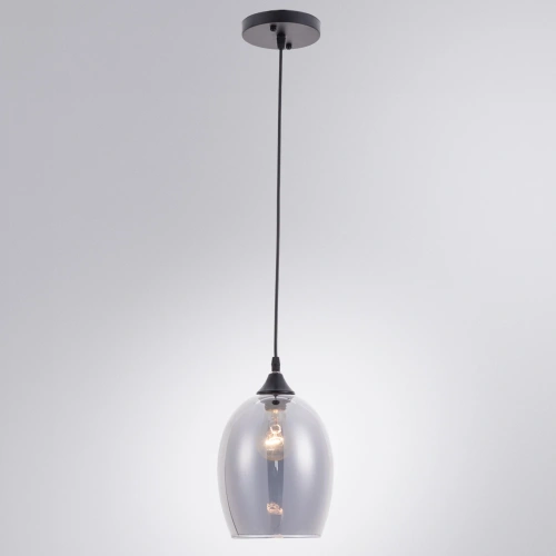 Подвесной светильник Arte Lamp PROPUS A4344SP-1BK фото 2 Подвесной светильник Arte Lamp PROPUS A4344SP-1BK фото 2