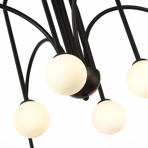 SL1204.402.08 Люстра потолочная ST-Luce Черный/Белый G9 8*5W JINETO фото 10 SL1204.402.08 Люстра потолочная ST-Luce Черный/Белый G9 8*5W JINETO фото 10