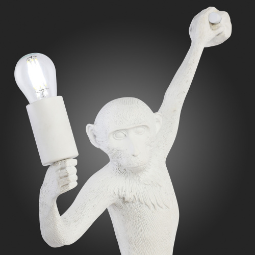 SLE115111-01 Светильник настенный Белый E27 1*60W TENATO фото 9