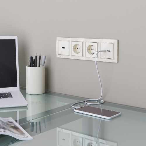 Розетка с заземлением (слоновая кость) W1171003 фото 4