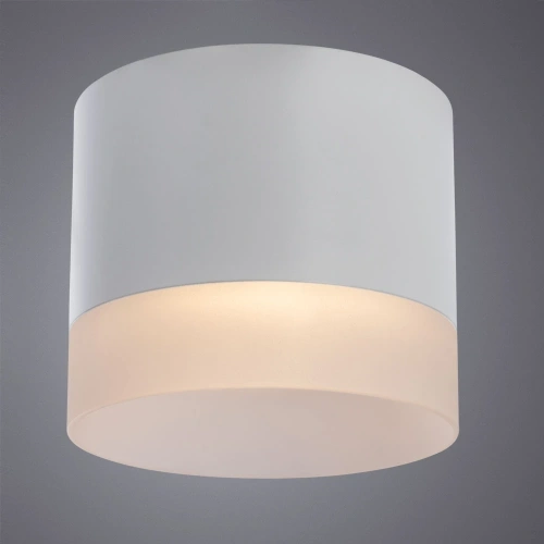 Точечный накладной светильник Arte Lamp CASTOR A5554PL-1WH фото 2 Точечный накладной светильник Arte Lamp CASTOR A5554PL-1WH фото 2