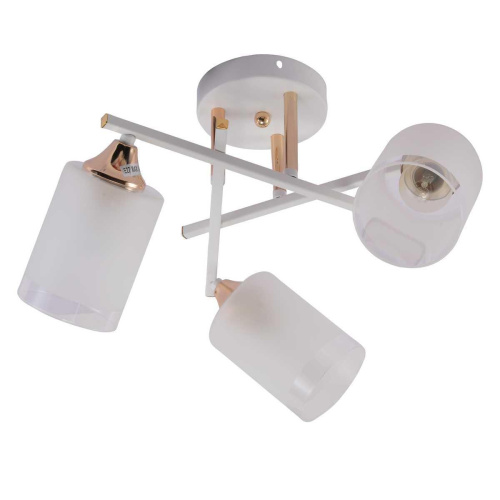 Потолочная люстра Rivoli Tammy 3162-303 Б0059258 Потолочная люстра Rivoli Tammy 3162-303 Б0059258