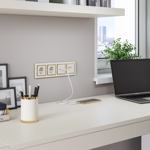 Розетка двойная Ethernet RJ-45 (слоновая кость) W1181103 фото 3