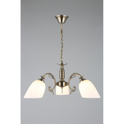 Люстра подвесная OML-56407-03 фото 4