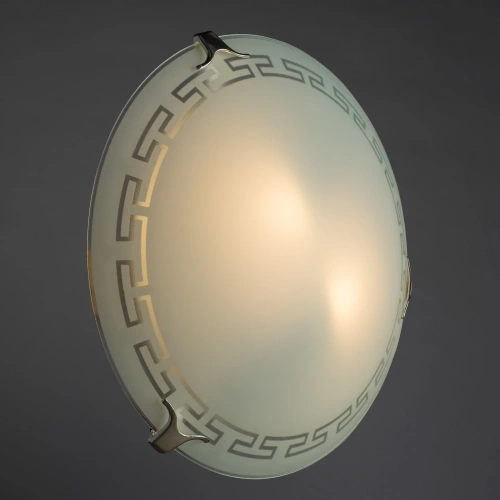 Потолочный светильник Arte Lamp ANTICA A4220PL-2CC фото 2