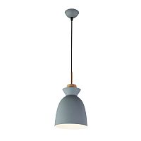 Подвесной светильник Escada 1107/1S E27*40W Grey