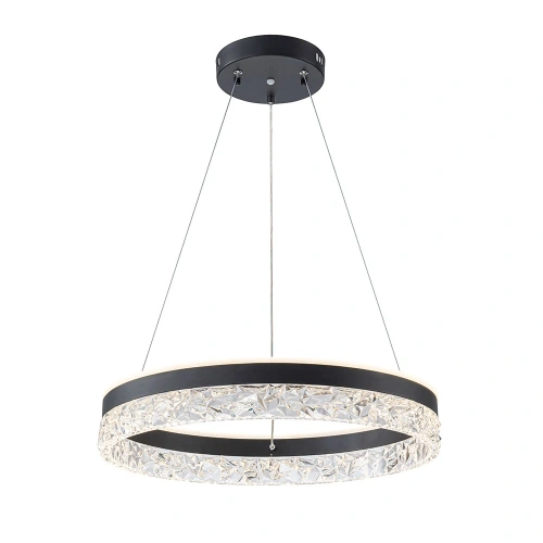 Подвесная люстра Arte Lamp APOLLO A2549SP-75BK фото 2