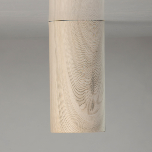 Потолочный светильник DeMarkt Иланг 712010901 фото 5