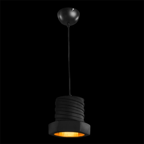 Подвесной светильник Arte Lamp CAPPELLO A6680SP-1BK фото 2 Подвесной светильник Arte Lamp CAPPELLO A6680SP-1BK фото 2