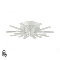 Потолочный светодиодный светильник Lumion Ledio Alberta 8029/80CL