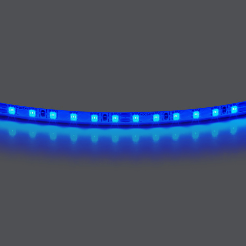 420515 Лента LIGHTSTAR LED 24V 12W 120leds/M 1600 LM/M синий IP20 1шт = 5м 420515 Лента LIGHTSTAR LED 24V 12W 120leds/M 1600 LM/M синий IP20 1шт = 5м