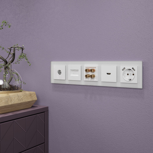 Рамка из стекла на 5 постов Favorit белый матовый W0051105 фото 4