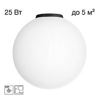Citilux RON CL941D25B5 Потолочный светильник Чёрный