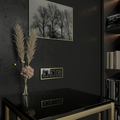 Рамка из металла на 3 поста Baguette черный/латунь W0032852 фото 3 Рамка из металла на 3 поста Baguette черный/латунь W0032852 фото 3