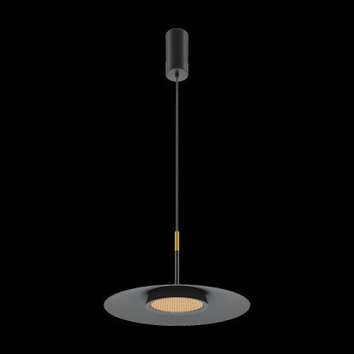 Подвесной светильник Maytoni MOD041PL-L15B3K1 фото 11