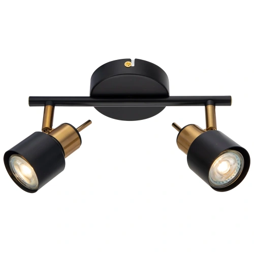 Спот Arte Lamp ALMACH A1906PL-2BK фото 2