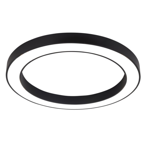 Потолочный светильник Favourite Firm 4856-1P