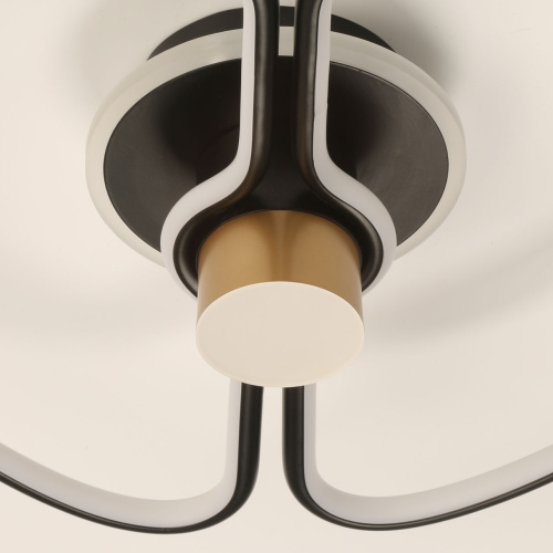 Потолочный светильник DeMarkt Толедо 312012501 фото 3