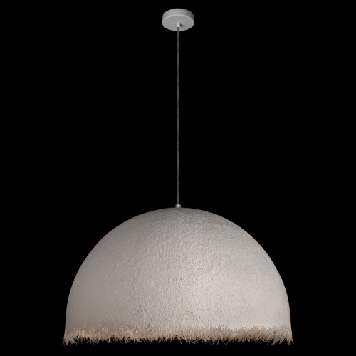 10372/800 Подвесной светильник LOFT IT Plancton фото 2