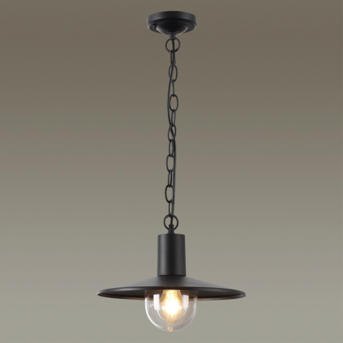 4833/1 NATURE ODL21 711 черный/стекло Ландшафтный светильник-подвес E27 1*40W IP44 FURCADIA фото 4 4833/1 NATURE ODL21 711 черный/стекло Ландшафтный светильник-подвес E27 1*40W IP44 FURCADIA фото 4