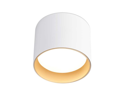 Светильник накладной Ambrella Light TN5304 фото 7