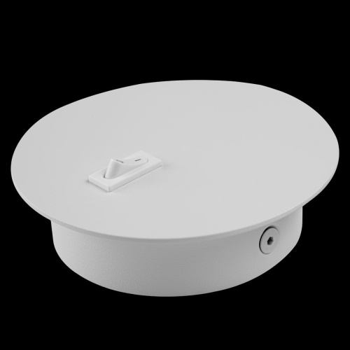 10010WH Бра LOFT IT Stick фото 3