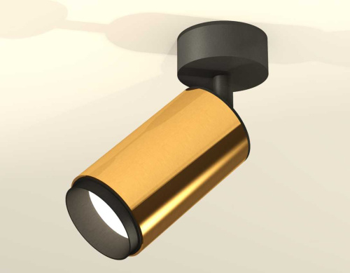 Комплект накладного светильника Ambrella light Techno Spot XM6327021 PYG/PBK золото желтое полированное/черный полированный (A2210, C6327, N6121) фото 3