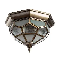Потолочный светильник Arte Lamp COPPERLAND A7833PL-2AB