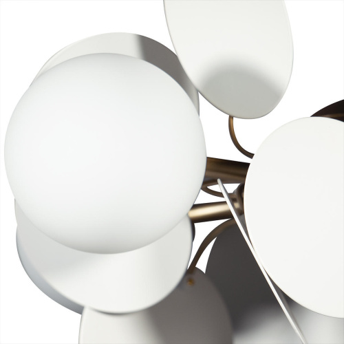 10008/6 white Подвесной светильник LOFT IT Matisse фото 6 10008/6 white Подвесной светильник LOFT IT Matisse фото 6