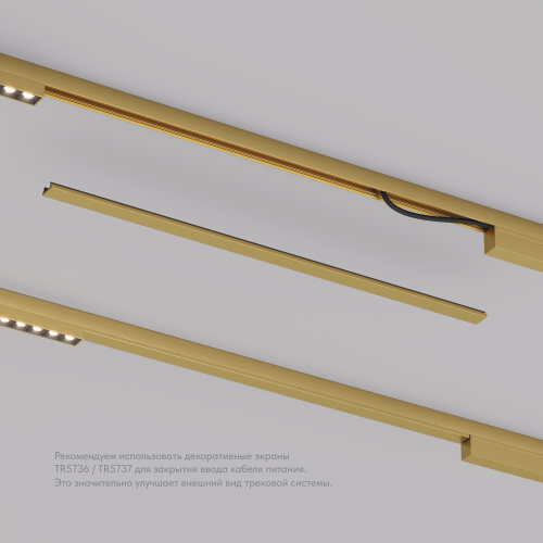 TR5737-SB Декоративная заглушка желоба трека, 50см, для трека Shine, серия Base, сатинированная латунь, алюминий фото 5 TR5737-SB Декоративная заглушка желоба трека, 50см, для трека Shine, серия Base, сатинированная латунь, алюминий фото 5