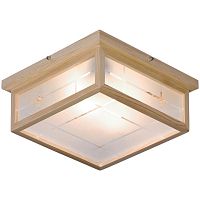 Настенно-потолочный светильник Velante 548-717-02