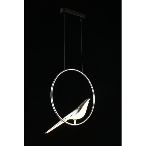 Светильник подвесной APL.822.16.10 фото 8 Светильник подвесной APL.822.16.10 фото 8