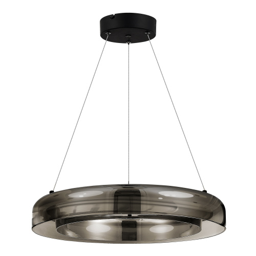 SL6019.333.01 Светильник подвесной ST-Luce Черный/Дымчатый, Белый LED 1*36W 3000K FORAY фото 4