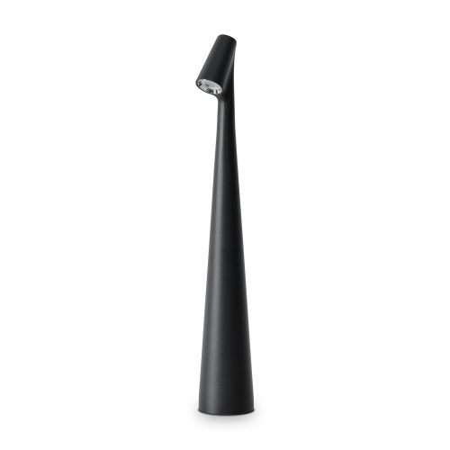 Настольный светильник Freya FR6188TL-L3B фото 2
