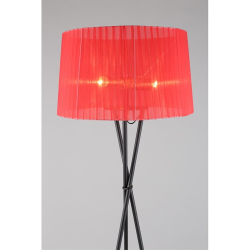 Торшер OML-62905-03 фото 4 Торшер OML-62905-03 фото 4