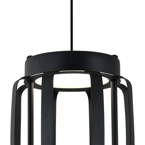 Подвесной светильник 14027/2P Black фото 2 Подвесной светильник 14027/2P Black фото 2