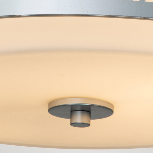 Потолочный светильник Elstead Lighting ZIGGY-F-M-LS фото 4 Потолочный светильник Elstead Lighting ZIGGY-F-M-LS фото 4