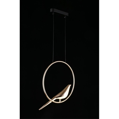 Светильник подвесной APL.822.06.10 фото 11 Светильник подвесной APL.822.06.10 фото 11