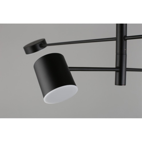 Люстра потолочная APL.017.07.48 фото 15