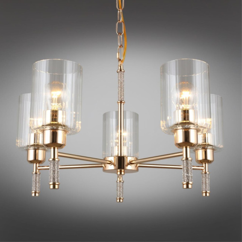 Люстра подвесная OML-66513-05 фото 9